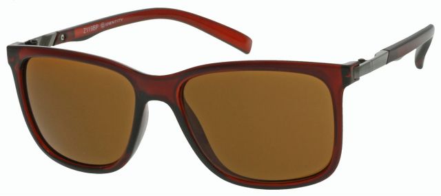 Pánské sluneční brýle Identity Z119-1 